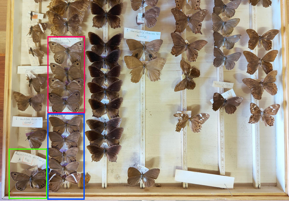 $publishedArticle->coverImageAltText