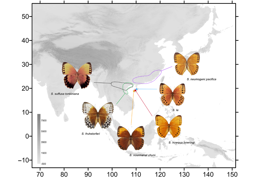 $publishedArticle->coverImageAltText