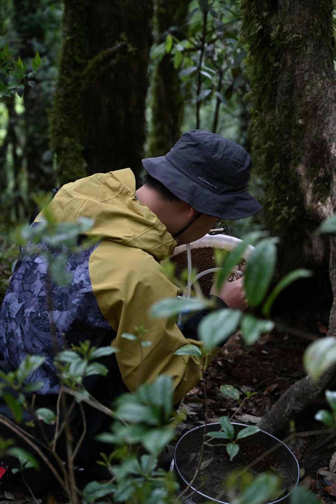 微信图片_20260109155711